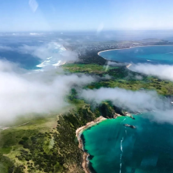 Conservation Efforts on Phillip Island