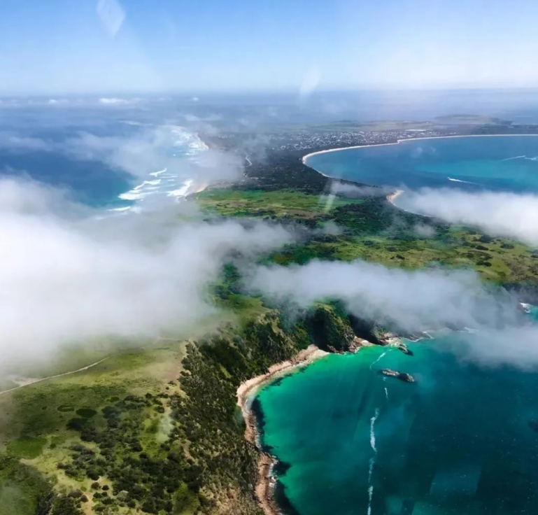 Conservation Efforts on Phillip Island