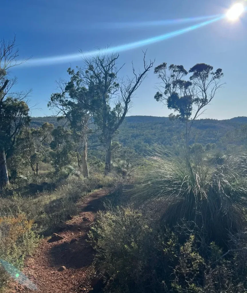 Eagle View Walk