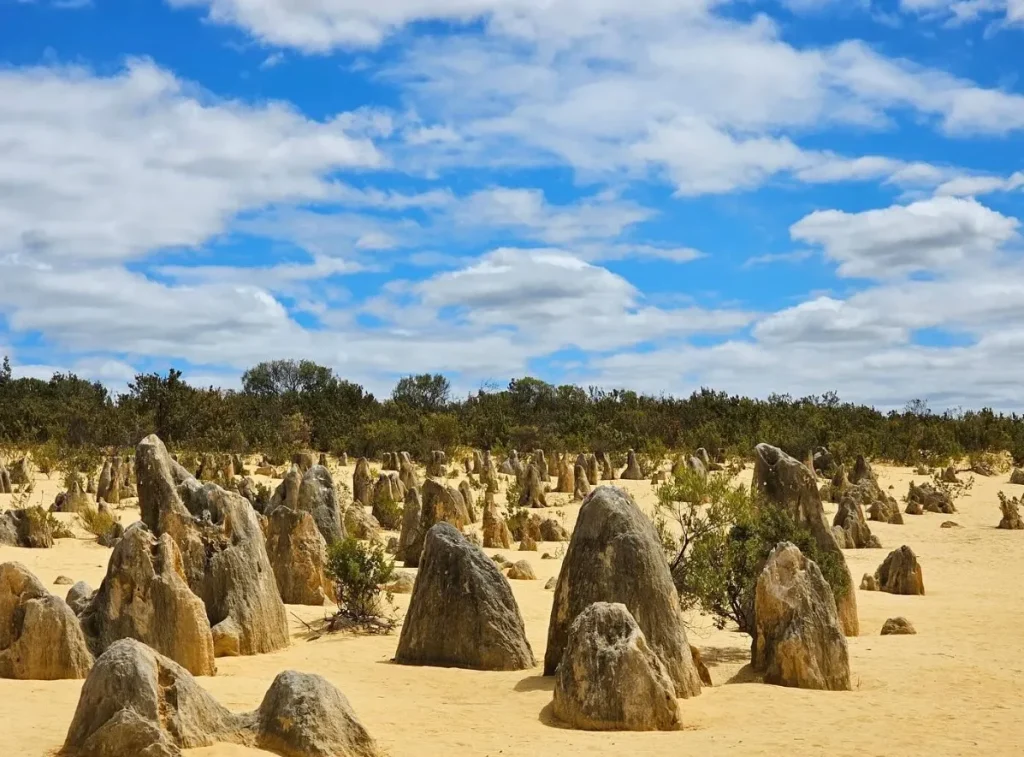 Pinnacles National Park