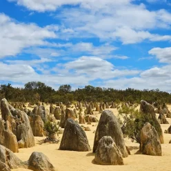 Pinnacles National Park