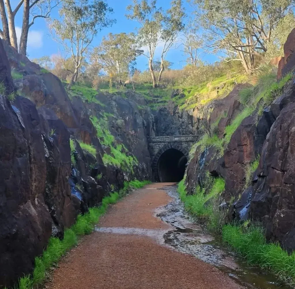 Swan View Tunnel