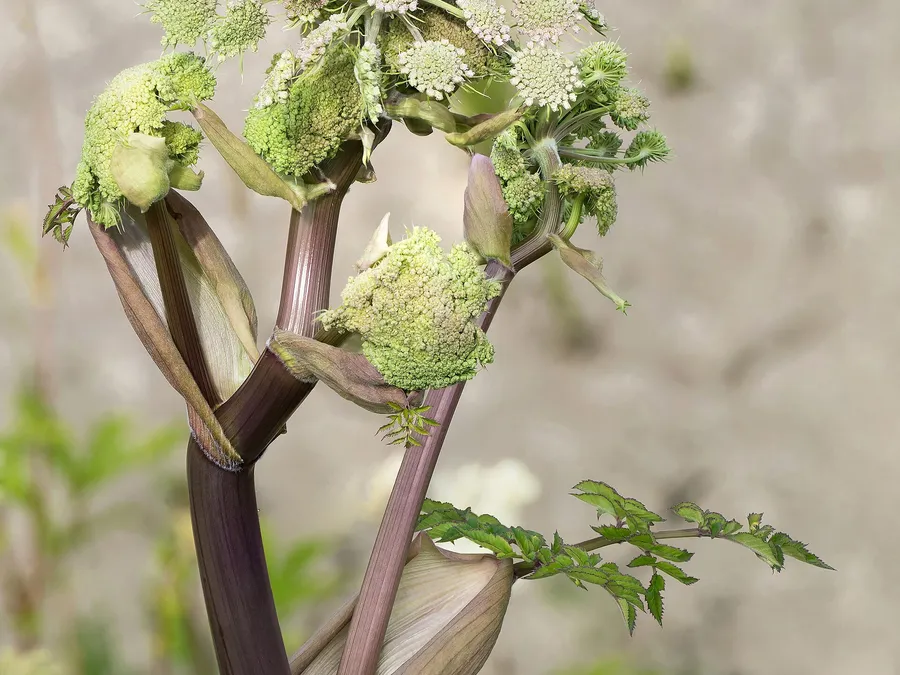 How we compare Wild Travel options